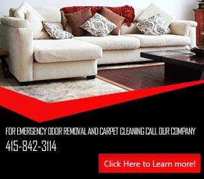 Carpet Cleaning Corte Madera, CA | 415-842-3114 | Call Now !!!